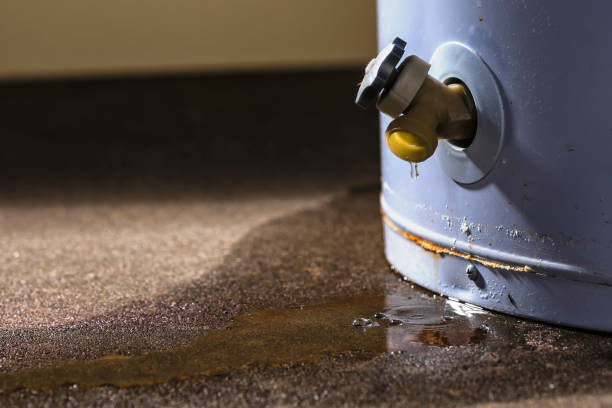 Best Mold removal after water damage  in Grayson Vley, AL