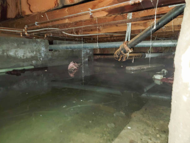Best Flooded house restoration  in Grayson Vley, AL