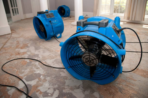 Best 24/7 water damage repair  in Grayson Vley, AL